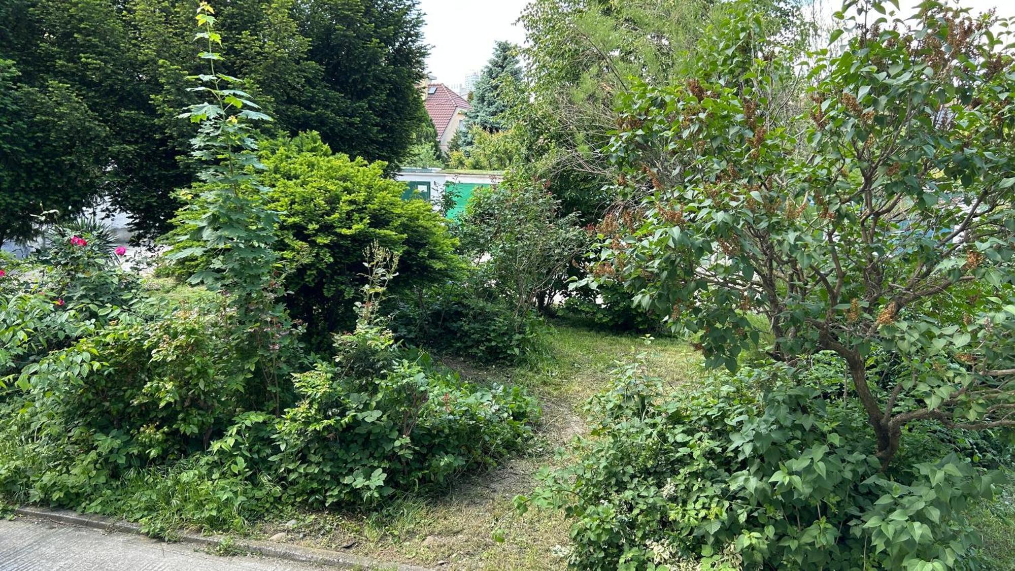 Milet Style And Spacy 2 With Ac In Nivy Bratislava
